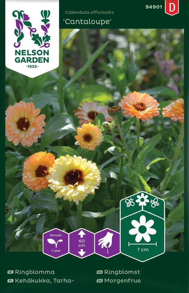 LILLESEEMNED SAIALILL CANTALOUPE