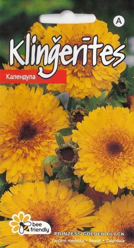 SAIALILL PRINZESS GOLDEN BLACK 1G