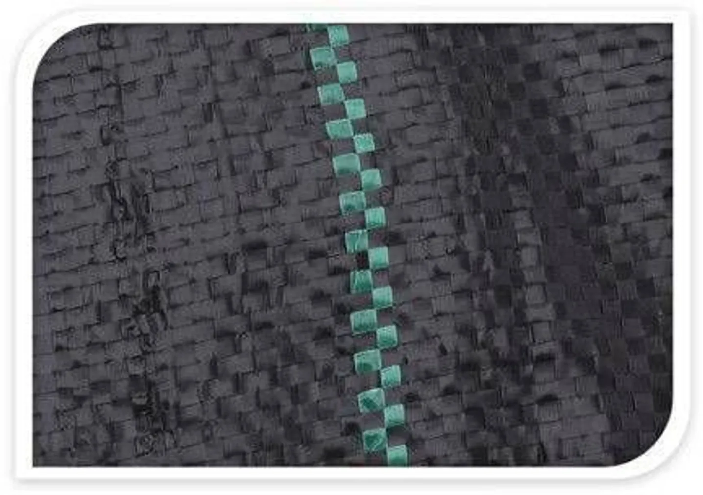 PEENRAVAIP PROGARDEN 100G/M2 2X5M