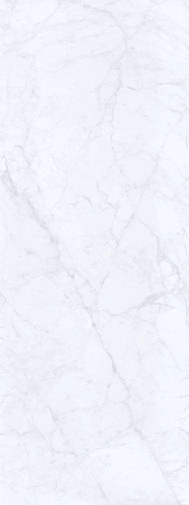 SEINAPANEEL VILO PVC 250X2650MM CARRARA 2,65M² PAKIS