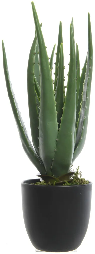 KUNSTTAIM AALOE 14CM, PLASTIK POTIS