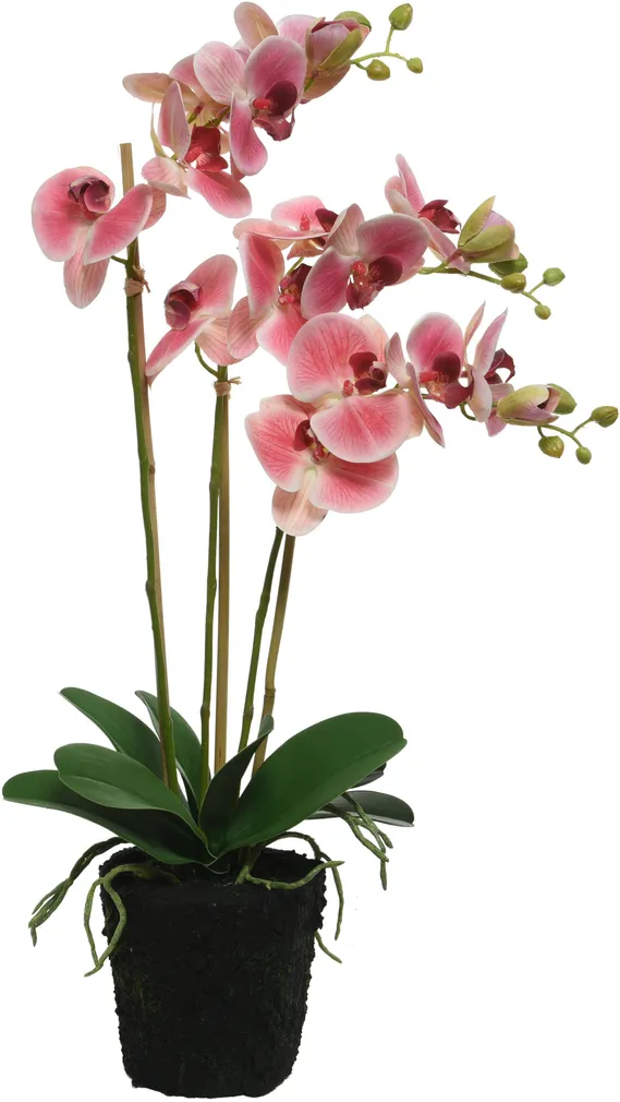 KUNSTLILL ORHIDEE POLÜESTER 62CM, POTIS