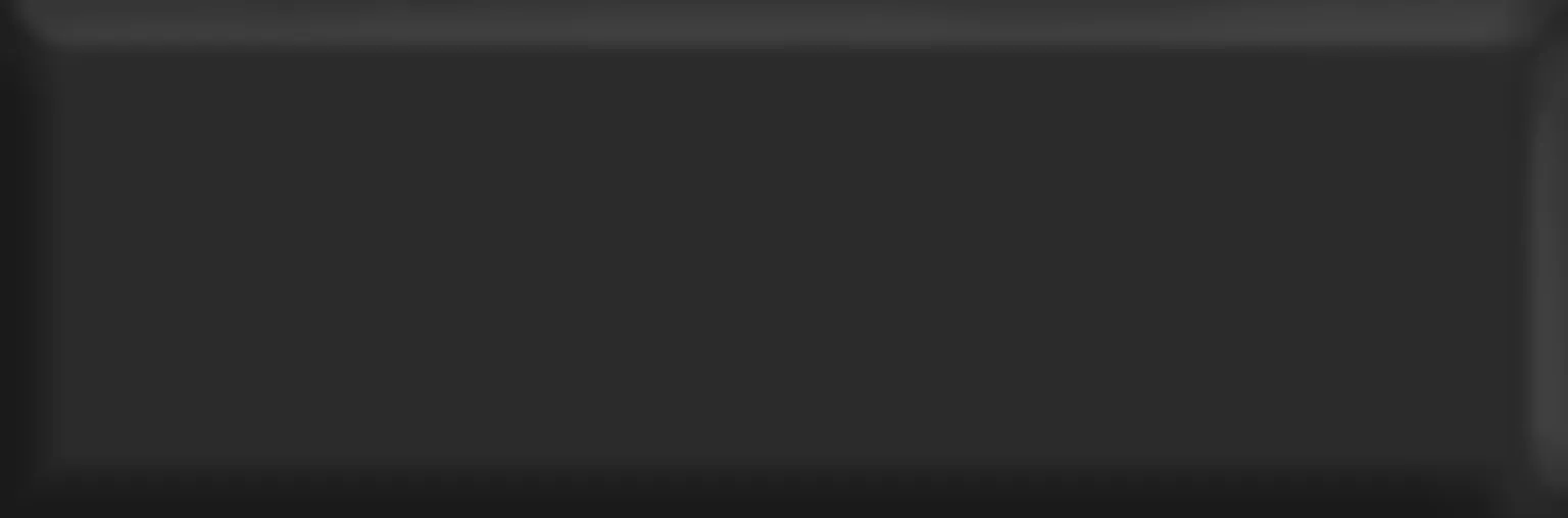 SEINAPLAAT GOLDEN TILE THE WALL BLACK RELJEEF GLOSSY 10X30CM 0,84M² PAKIS