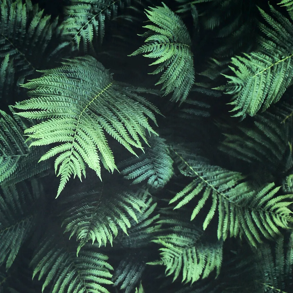 TAPEET ARTHOUSE FERN WALL GREEN