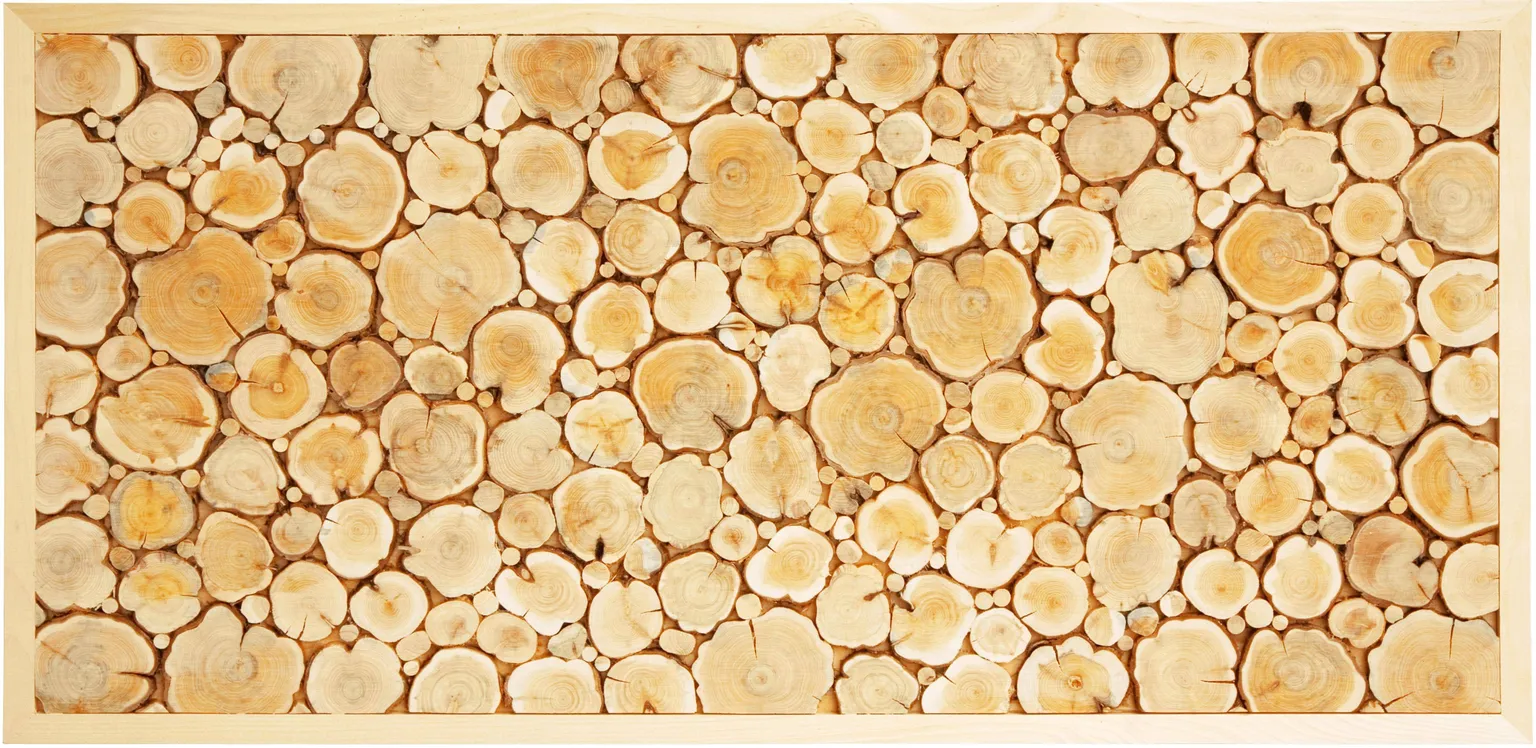 KADAKAPUIDUST PANEEL 50X100CM RAAMIGA