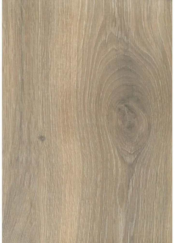 LAMINAATPARKETT ALSAPRO 8MM PROFLOOR 33 TAMM TAZA 1-LIPP