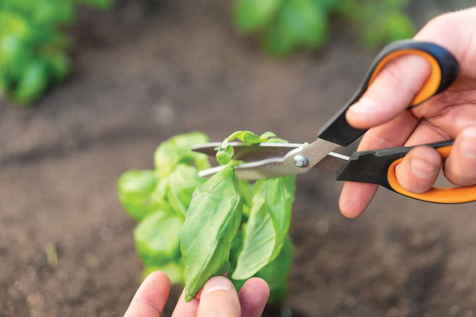 AIAKÄÄRID SOLID SP240