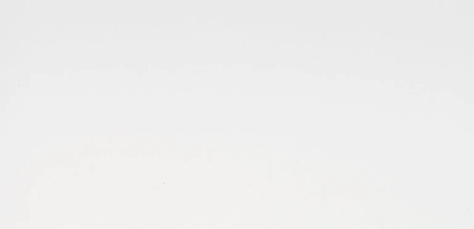 SEINAPLAAT BMS DOVE VALGE MATT REC 30X60CM 1,44M² PAKIS