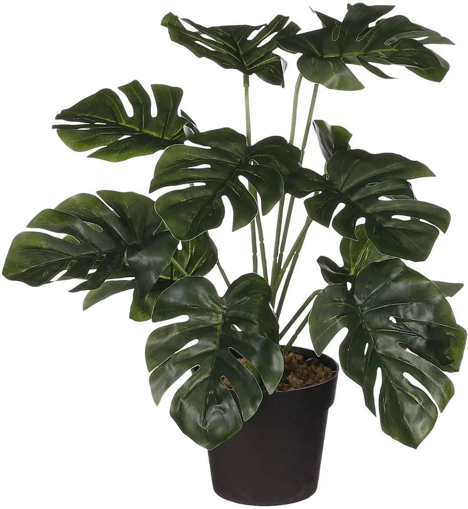 KUNSTTAIM MICA MONSTERA 40X35CM POTIS 