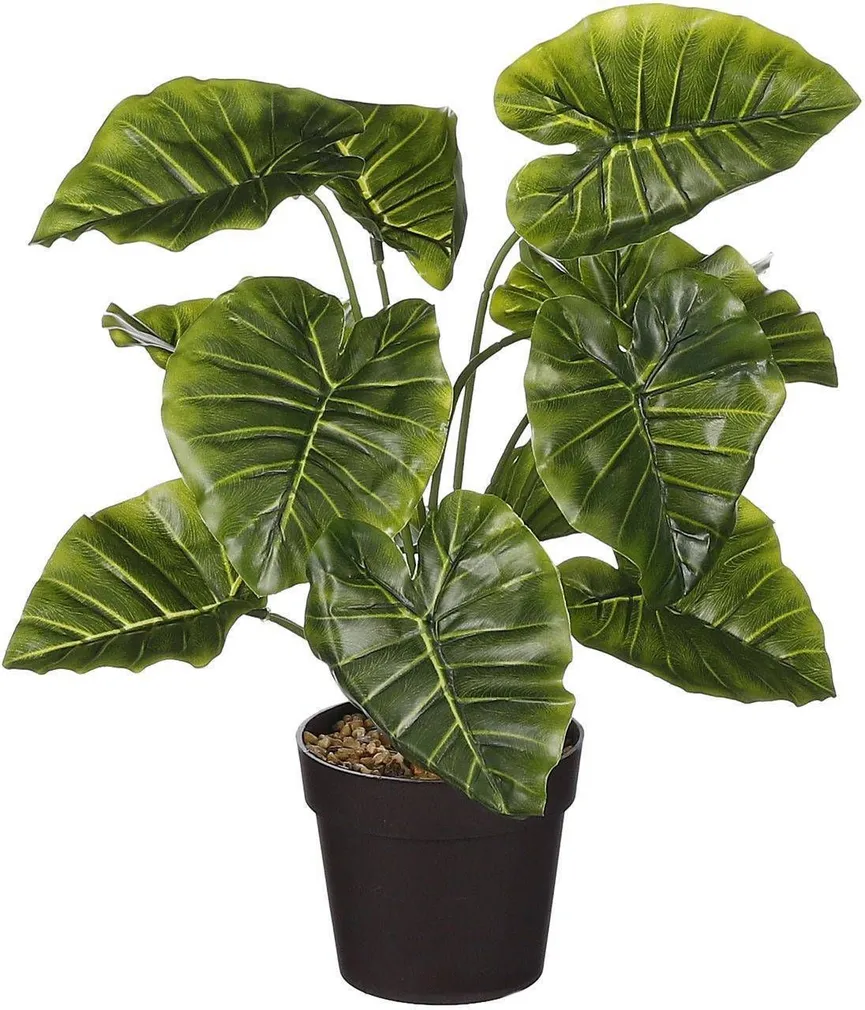 KUNSTTAIM MICA ALOCASIA 40X35CM POTIS