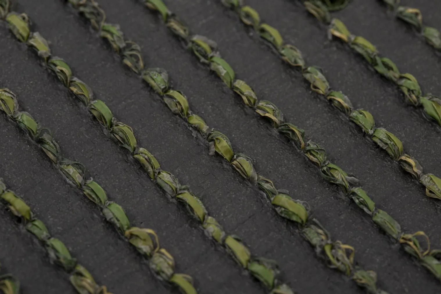 TERRASSIKATE TURFGRASS 2M ALVA OLIVE