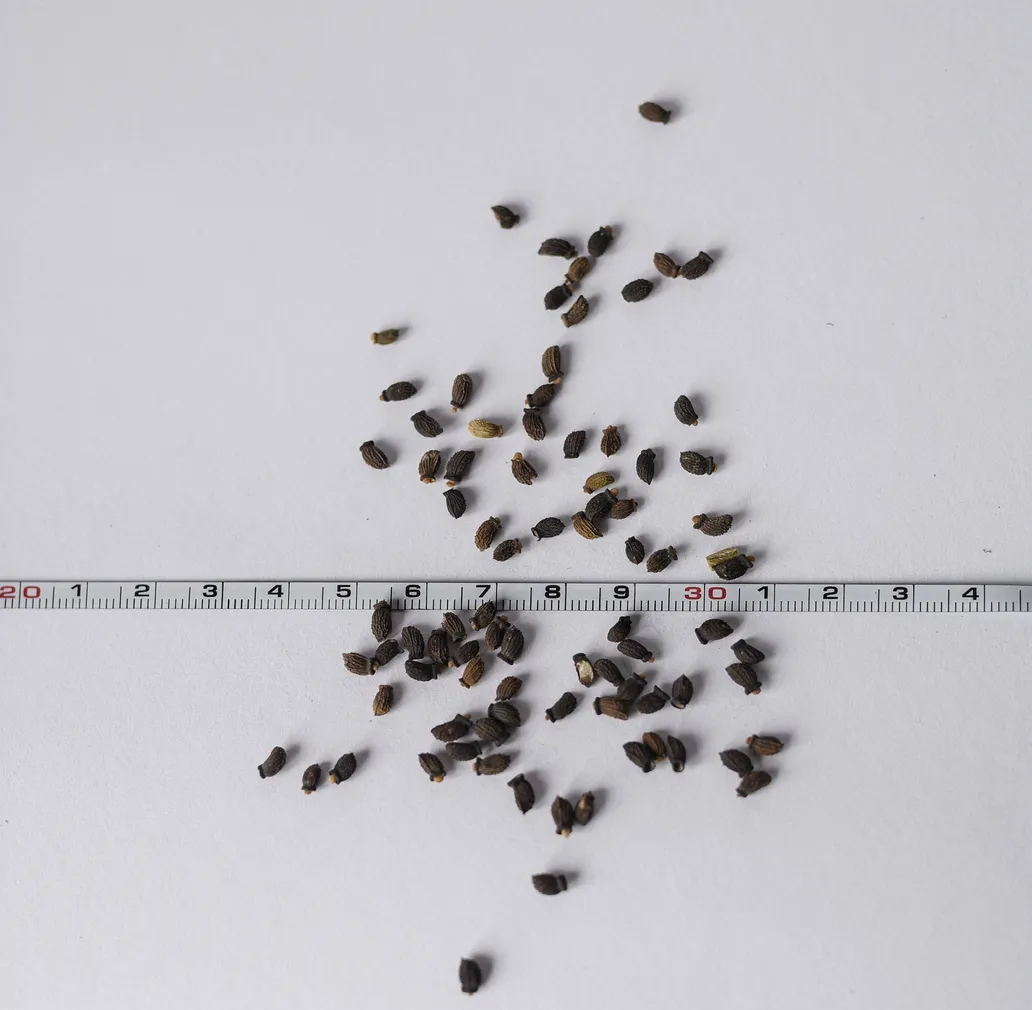 KURGIROHI ÖKO EERIKSAARE MAHE 5G