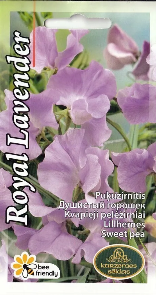 SEEMNED KURZEMES SEKLAS LILLHERNES ROYAL LAVENDER