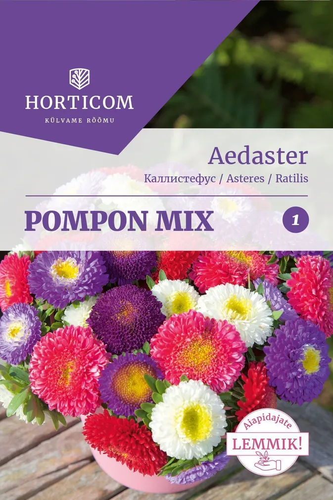 SEEMNED HORTICOM AEDASTER POMPON MIX 1G