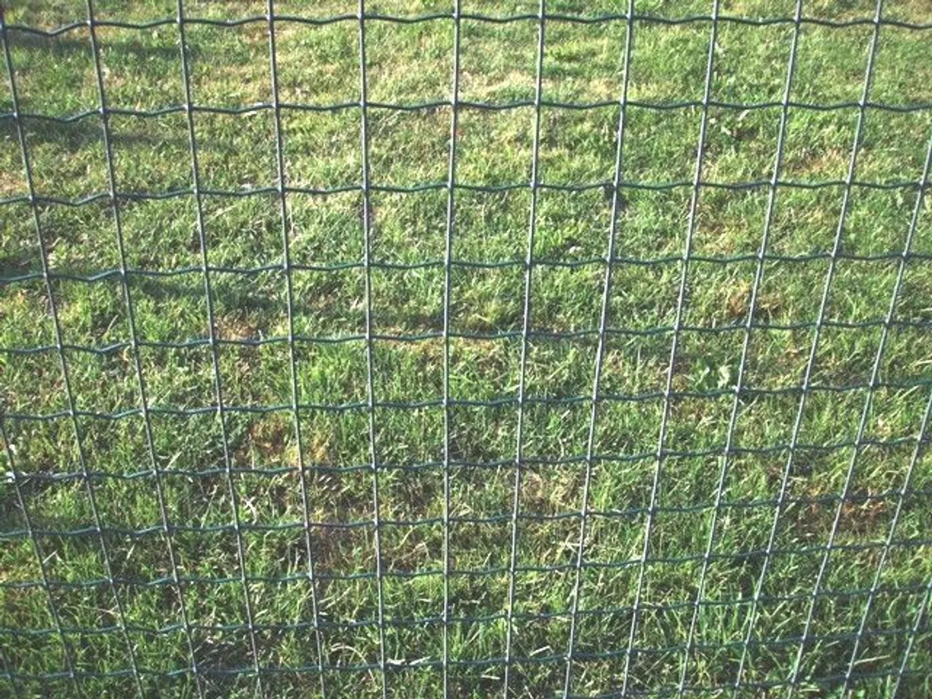 KEEVISVÕRK EXTRA STRONG 50X50 2,5MM 1200MM 25M RULLIS