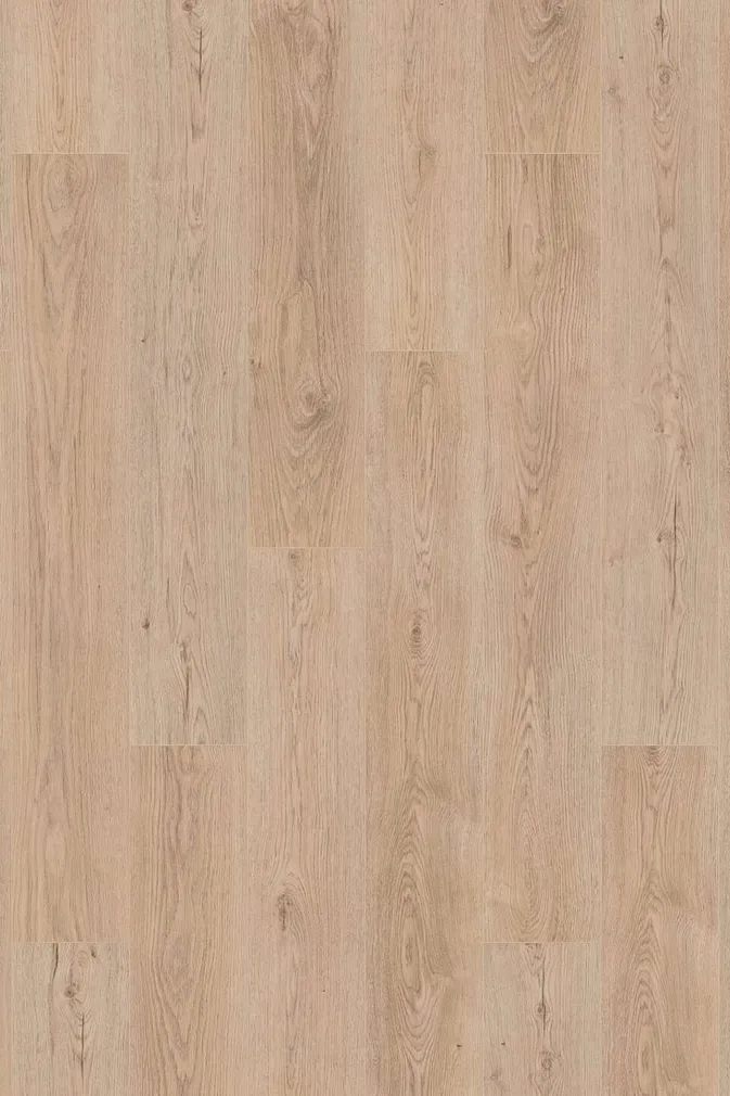 LAMINAATPARKETT 8MM SUPER NATURAL TAMM 1-LIPP