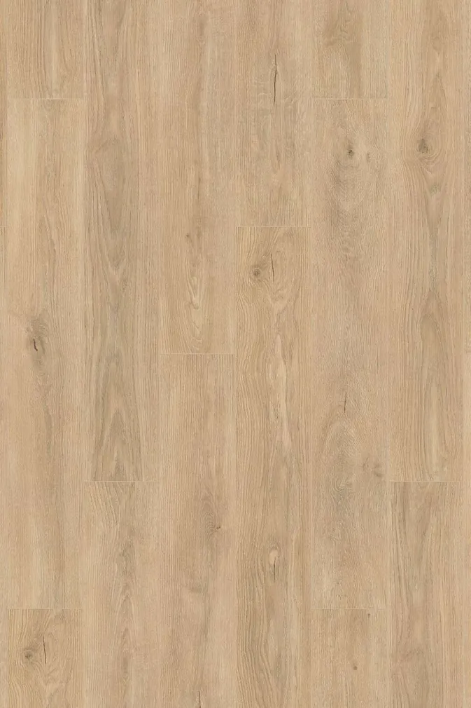 LAMINAATPARKETT 8MM ATLANTIC TAMM CASHMERE 1-L, 2,26M² PAKIS