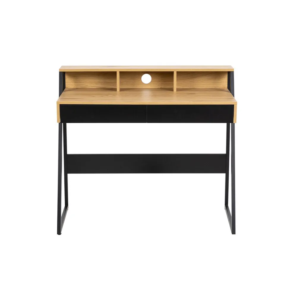 KIRJUTUSLAUD REECE, 100X50XH88CM, TAMM