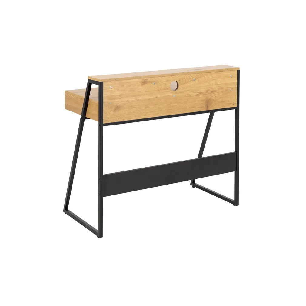 KIRJUTUSLAUD REECE, 100X50XH88CM, TAMM