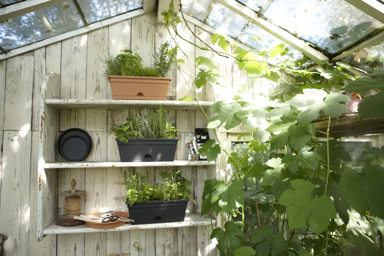 TAIMEKAST ELHO GREEN BASICS MINI 30X12CM 1,2L MUST