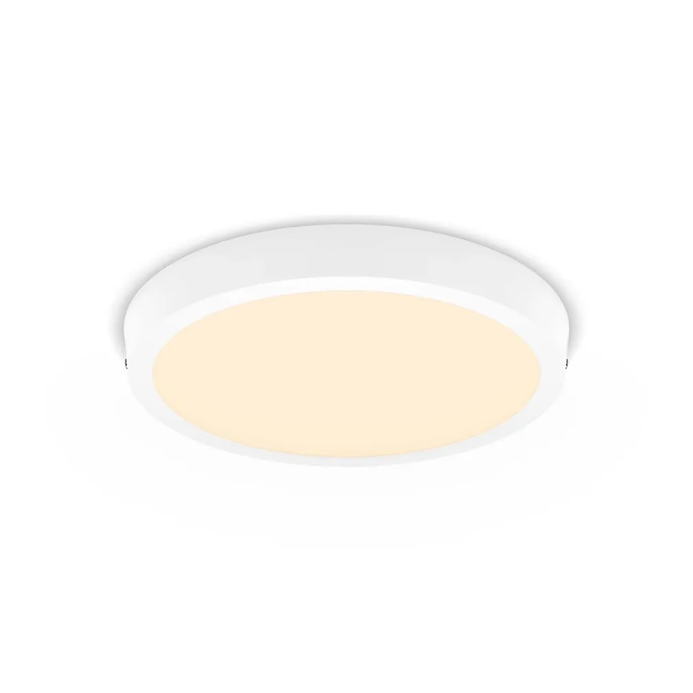 PLAFOON PHILIPS MAGNEOS DL252 ÜMMARGUNE 20W 2700K IP20 VALGE