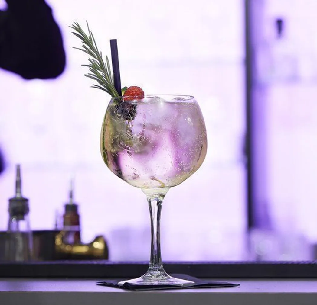 KOKTEILIKLAAS GIN TONIC ROYAL LEERDAM 65CL, 4TK