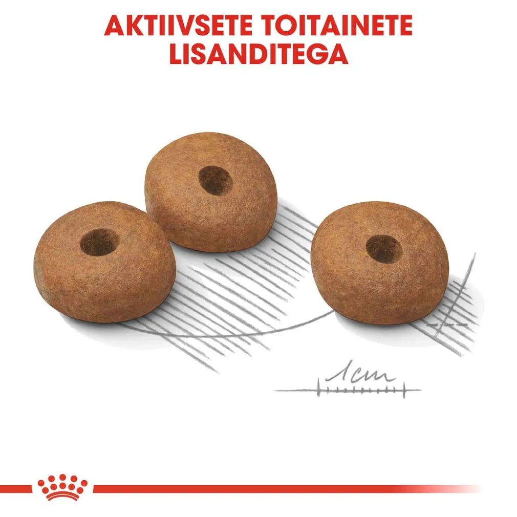 KUIVTOIT ROYAL CANIN LIGHT WEIGHT VÄIKEST KASVU KOERTELE 3KG