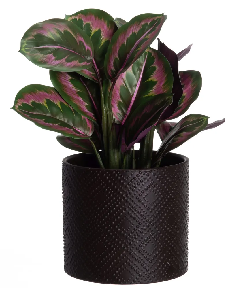 LILLEPOTT 4LIVING MELISSA 20CM, PRUUN