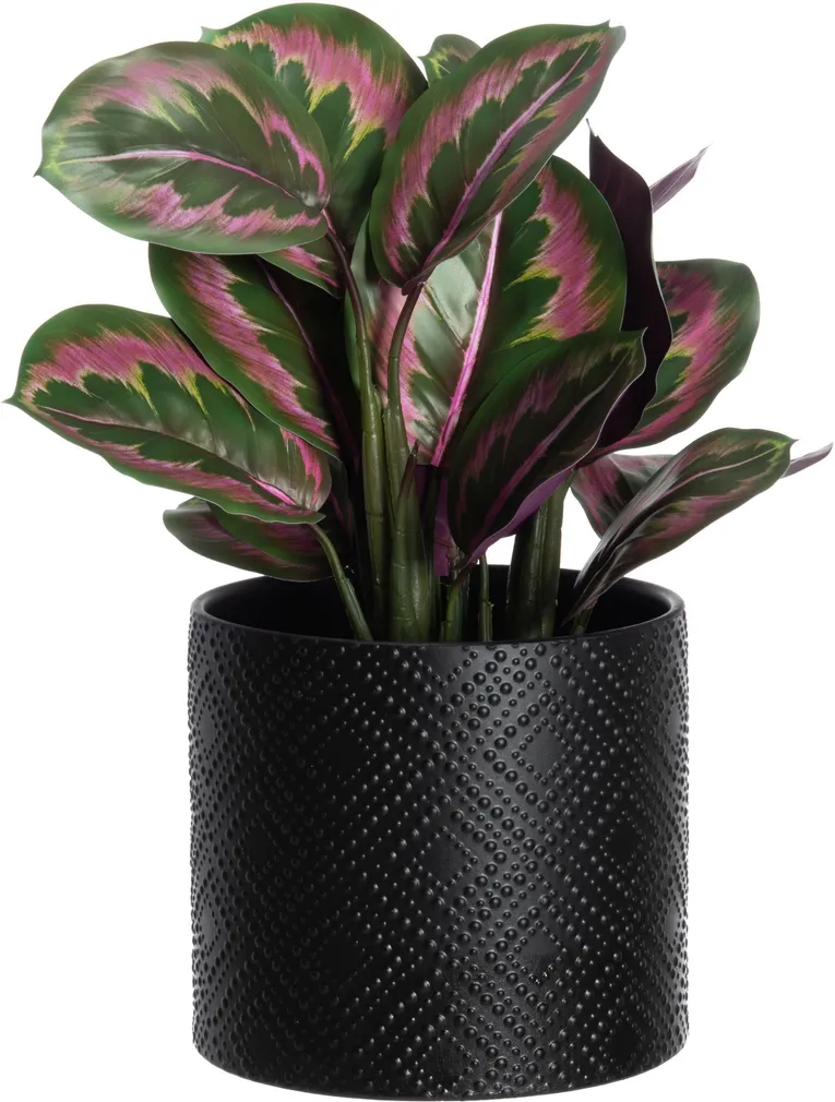 LILLEPOTT 4LIVING MELISSA 20CM, MUST