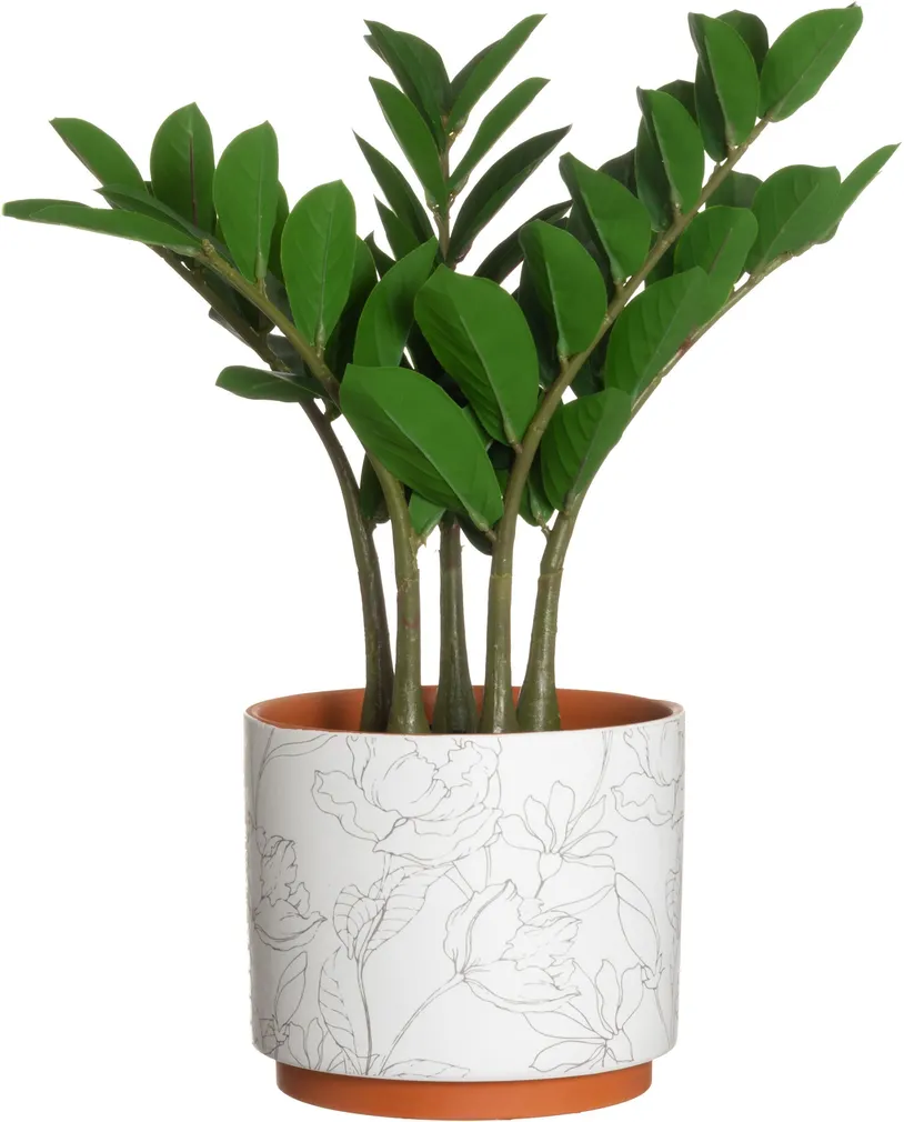 LILLEPOTT 4LIVING CORA 20CM, VALGE