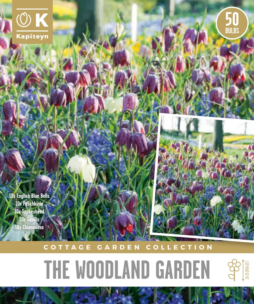 METSAAED KAPITEYN 50TK