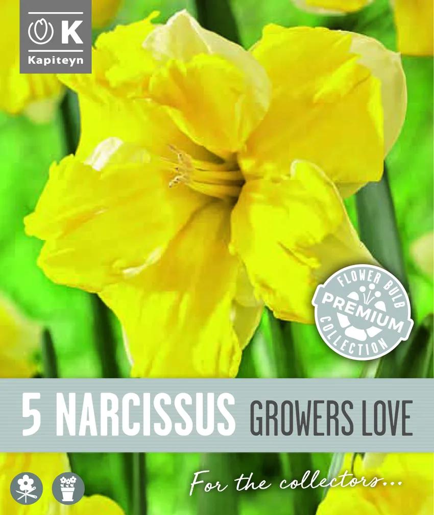 NARTSISS KAPITEYN GROWERS LOVE 5TK