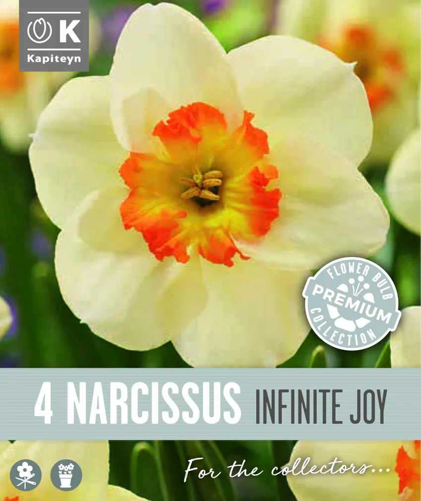 NARTSISS KAPITEYN INFINITE JOY 4TK