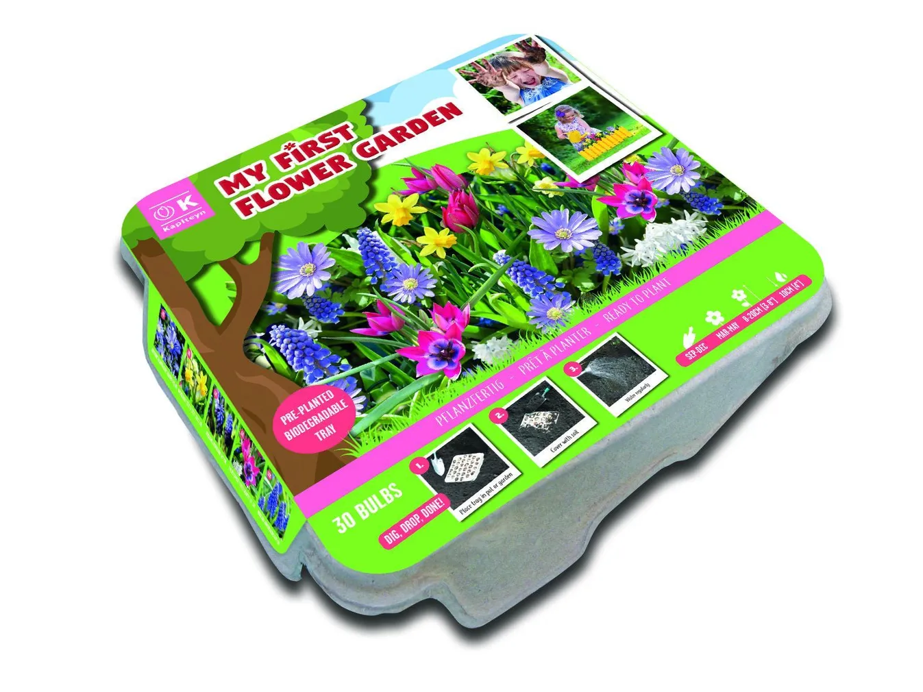 ESIMENE LILLEAED KAPITEYN 30TK