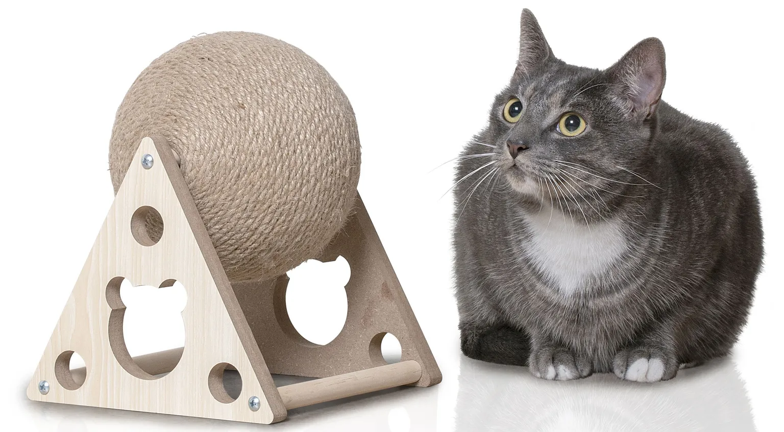 KRAAPIMISPALL MÄNGUASI KASSILE 25X19X19CM