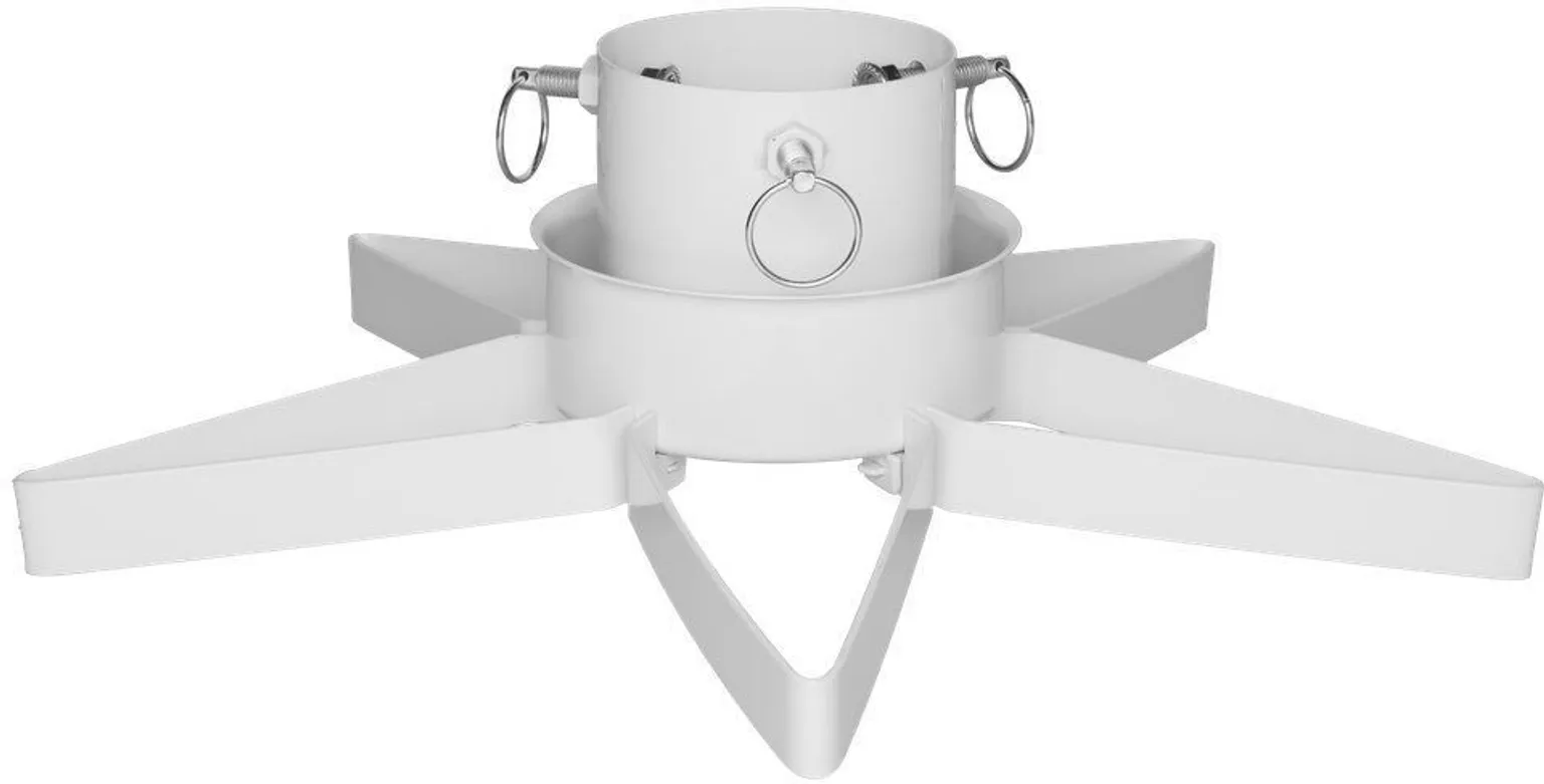 KUUSEJALG TÄHT VALGE