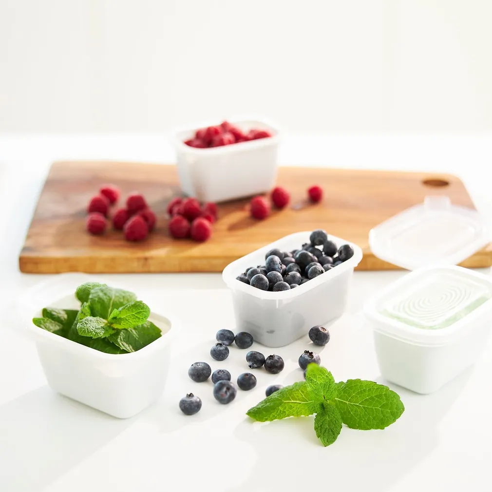 SÜGAVKÜLMAKARP ROTHO FREEZE 0,25L, 6TK PAKIS