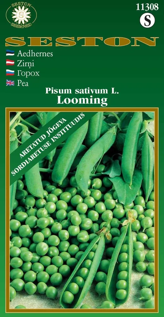 SEEMNED SESTON SEEMNED AEDHERNES "LOOMING" 50-60CM