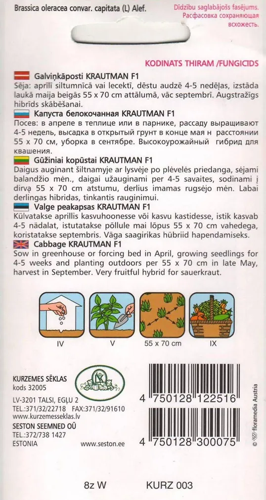SEEMNED KURZEMES SEKLAS VALGE PEAKAPSAS 'KRAUTMANN F1'