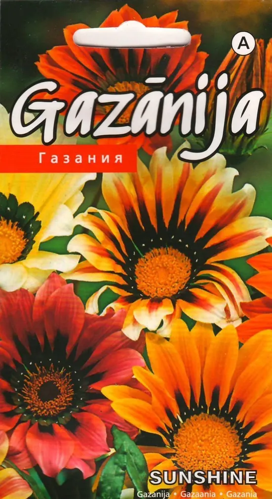 GASAANIA SUNSHINE HYBRIDS SEGU 0,1 G