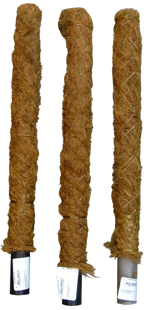 KOOKOSKEPP 50CM