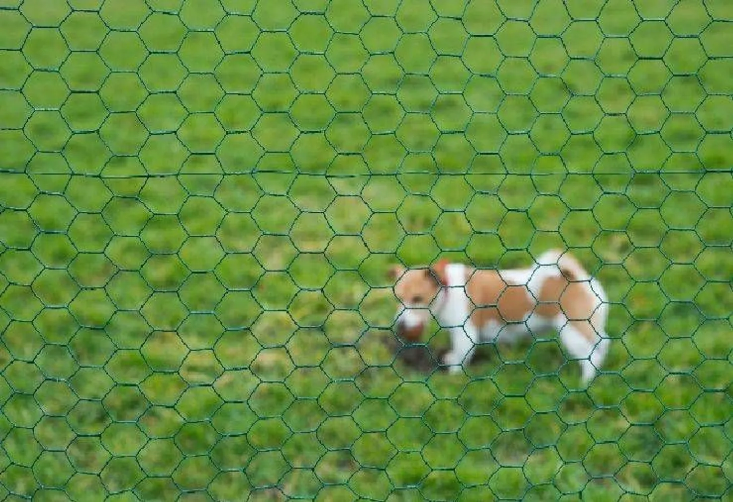 VÕRKAED PLASTIKKATTEGA 1H X5M 13MM