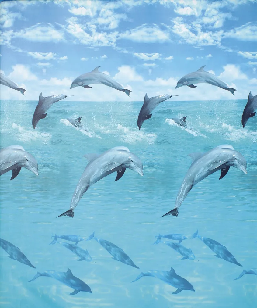 DUŠIKARDIN 180X200CM DUSCHY 622-17 OCEAN POLÜESTER