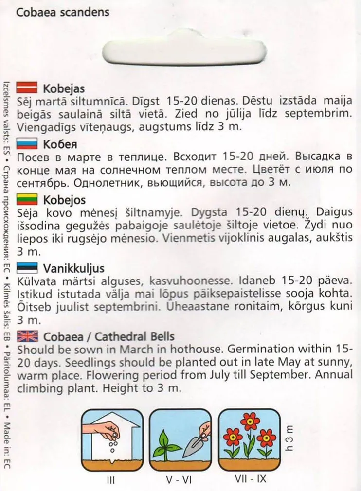 LILLESEEME VANIKKULJUS VIOLETNE 0,5G