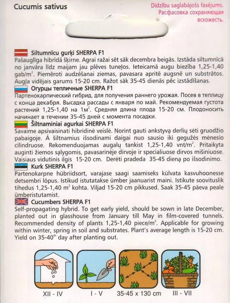 SEEMNED KURK "SERPA F1"