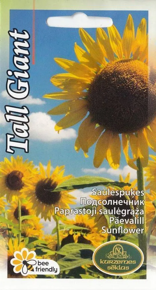 LILLESEEME PÄEVALILL TALL GIANT 2GR