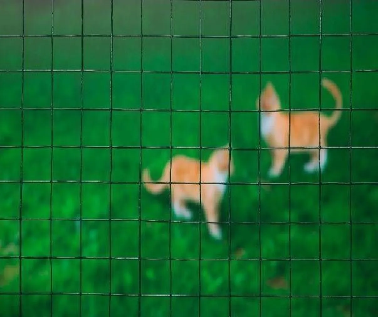 VÕRKAED PLASTIKKATTEGA 5X0,5M 13MM