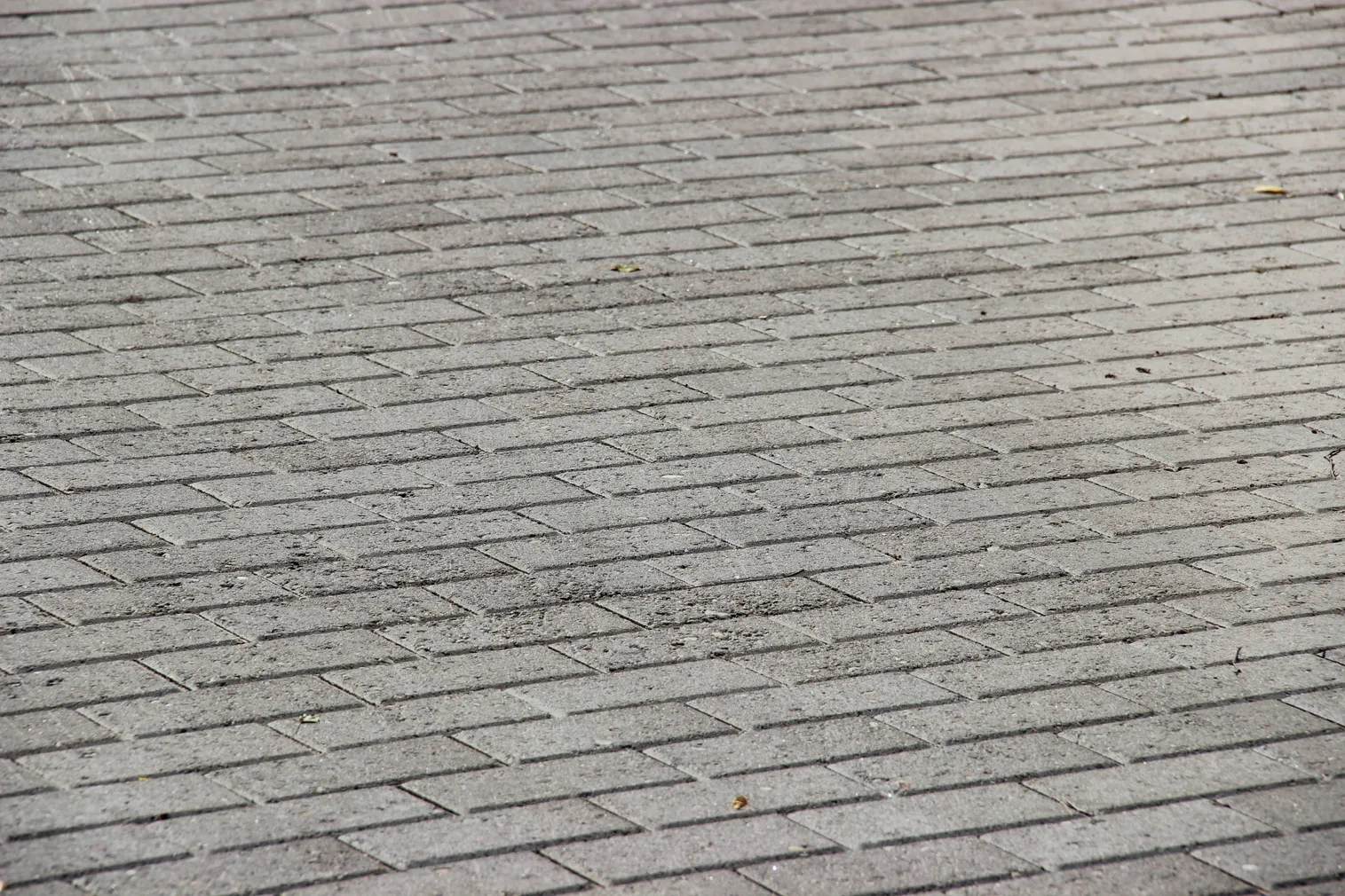 TEEKIVI IKODOR KLOOSTRIKIVI 240X80X60MM HALL