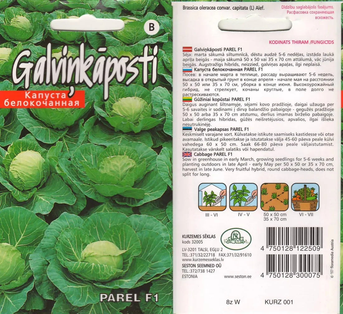 SEEMNED KURZEMES SEKLAS VALGE PEAKAPSAS 'PAREL' F1 45 SEEMET
