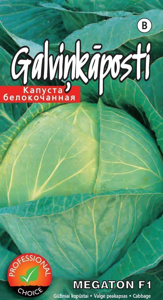 SEEMNED KURZEMES SEKLAS VALGE PEAKAPSAS "MEGATON" F1